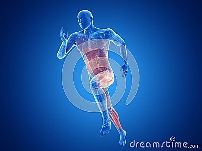 a joggers muscles Cartoon Illustration