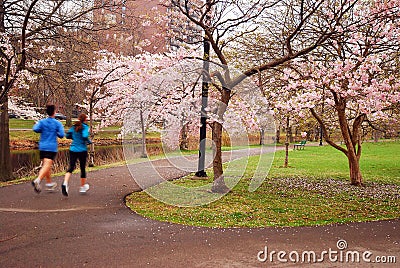 Jogging under the spring blossoms Editorial Stock Photo