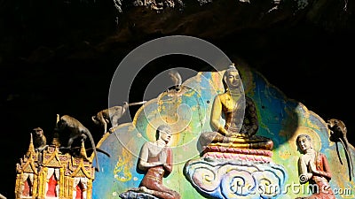 Jogo dos macacos sobre buddha de assento dourado filme Jogo dos macacos sobre buddha de assento dourado filme