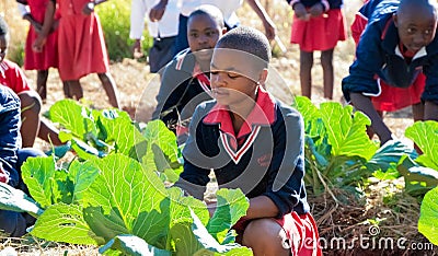 School children learning about agriculture and farming Editorial Stock Photo