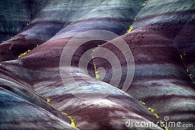 Painted Hills John Day Fossil Beds Geology and Flowers Stock Photo