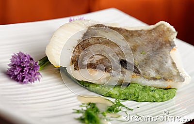 John Dory fish fillet on spinach Stock Photo