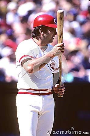 Johnny Bench Cincinnati Reds Editorial Stock Photo