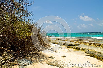 Johnny Cay - Colombia Stock Photo