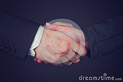 Joint venture business handshake Stock Photo