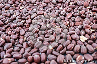 Jojoba beans background. Stock Photo