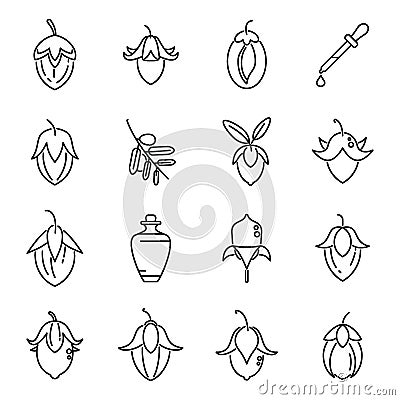 Jojoba icon outline vector. Beauty blossom Vector Illustration