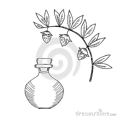 Jojoba oil bottle 2 Vector Illustration