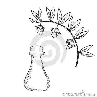 Jojoba oil bottle 3 Vector Illustration