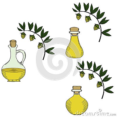 Jojoba oil bottle, set in color Vector Illustration