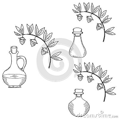 Jojoba oil bottle, set Vector Illustration