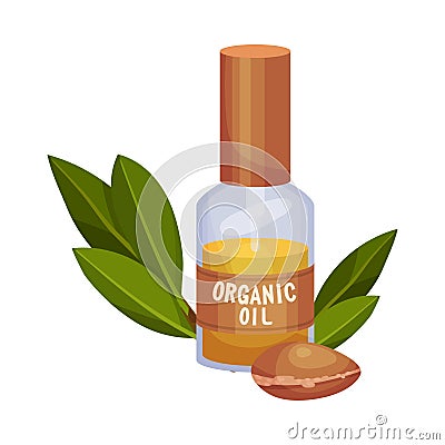 Jojoba Organic Oil Bottle with Jojoba Branch Next to It Vector Illustration Vector Illustration