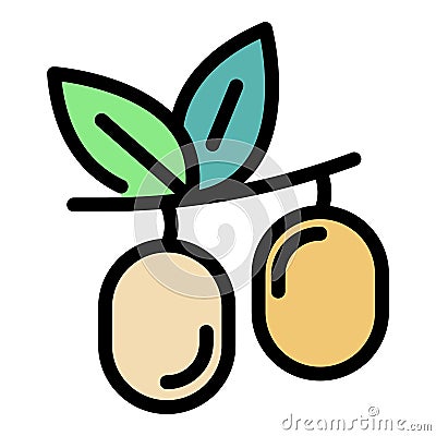 Jojoba seeds icon color outline vector Vector Illustration