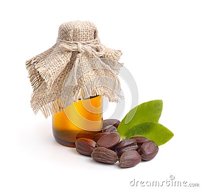 Jojoba (Simmondsia chinensis) leaves, seeds with oil. Stock Photo