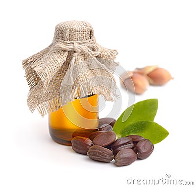 Jojoba (Simmondsia chinensis) leaves, seeds with oil. Stock Photo