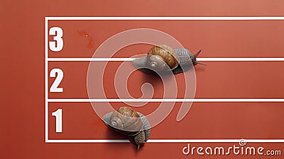 Joke Competition of Snails on Stadium Tracks Stock Footage - Video of running, shell: 250177594 Joke Competition of Snails on Stadium Tracks Stock Footage - Video of running, shell: 250177594