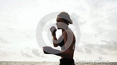 Jolie boxe dure d'ombre de femme Belle formation femelle de boxeur par la mer sur la plage le matin, jetant banque de vidéos Jolie boxe dure d'ombre de femme Belle formation femelle de boxeur par la mer sur la plage le matin, jetant banque de vidéos