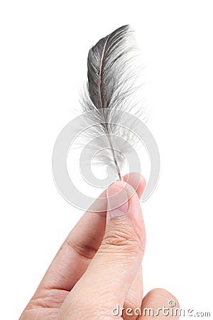 Jolly feather Stock Photo