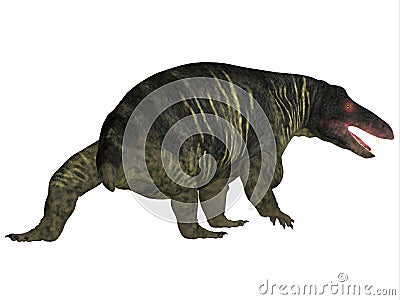 Jonkeria Dinosaur Tail Stock Photo