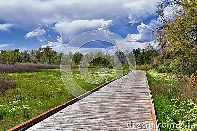 Jordan River Parkway Trail, Redwood Trailhead bordering the Legacy Parkway Trail, panorama views with surrounding trees and silt f Stock Photo