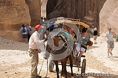 Jordan. Rocks. The road to the ancient city Petre. Editorial Stock Photo