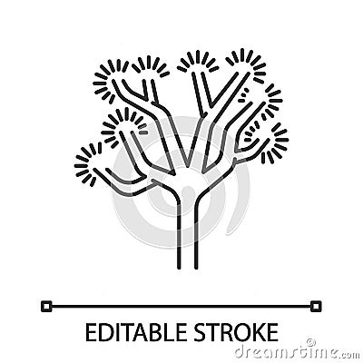 Joshua tree linear icon Vector Illustration