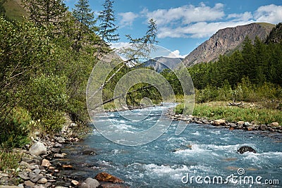 Journey through Altai Mountains, amazing nature of mountain peaks, rivers and streams flow down from slope of mountains. Altai Stock Photo