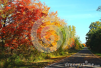 Journey Down a Fall Country Road Stock Photo