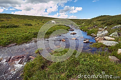 Journey on foot through the mountain valleys. The beauty of wildlife. Altai, the road to Shavlinsky lakes. Hike Stock Photo