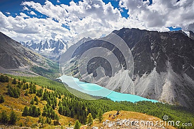 Journey on foot through the mountain valleys. Beauty of wildlife. Altai, the road to Shavlinsky lakes, Russia. Peaks of snowy Stock Photo