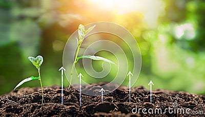 The Journey of Plant Growth: Infographic Exploring Sprouting, Planting, and Nature's Flourishing AI-Generated Design Stock Photo