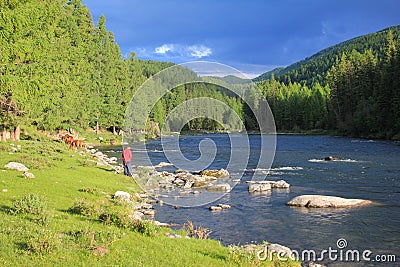Journey through the wild nature of the Altai. Coniferous forests and the valley Stock Photo