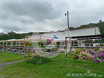 Joyce's Produce flowers for sale metal building Editorial Stock Photo