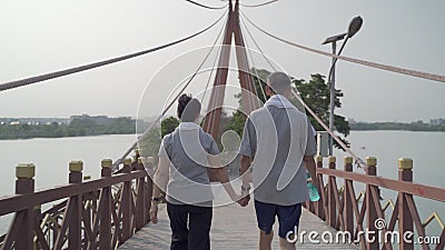 Joyeux couple senior main tendue et exercice de marche au parc le soir au coucher du soleil. smiley active asiatique amateur âgé a banque de vidéos Joyeux couple senior main tendue et exercice de marche au parc le soir au coucher du soleil. smiley active asiatique amateur âgé a banque de vidéos