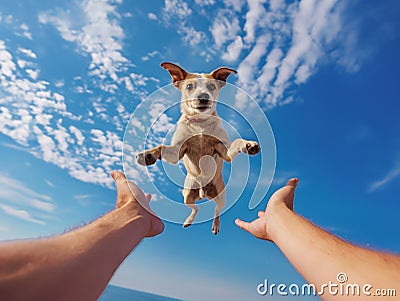 Joyful Dog Leaping into Owners Hands Against Sky Stock Photo