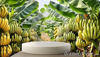 Joyful Empty podium for product presentation and banana tree background, Generative AI Stock Photo