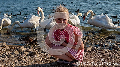 Joyful lady in a beautiful dress, an adult with a kind look on the background of swans on the lake on a summer day Stock Photo