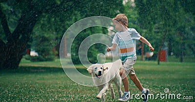 Joyful little kid running golden retriever playing together in summer park. Stock Photo