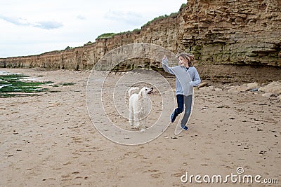 Joyful playtime with a child and a white poodle on a sandy beach Stock Photo