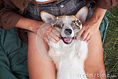 Joyful playtime, young woman cuddles with a smiling Welsh Corgi in the park Stock Photo