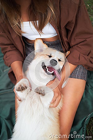 Joyful playtime, young woman cuddles with a smiling Pembroke Welsh Corgi in the park Stock Photo