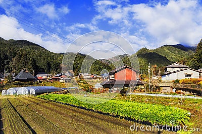 JP Ohara soil farm crops Stock Photo