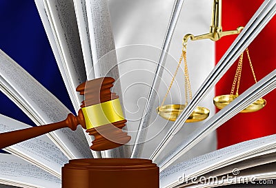 The judge`s gavel, the book of laws and scales against the background of the flag of the French Republic.3d-image Cartoon Illustration