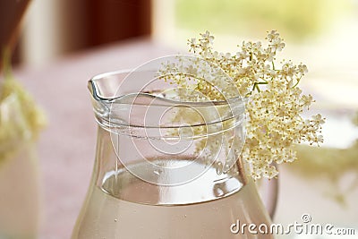 A jug of homemade lemonade with elder flowers. Herbal medicine Stock Photo