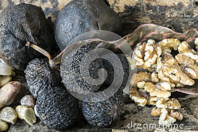 Juglans nigra, the eastern black walnut Stock Photo