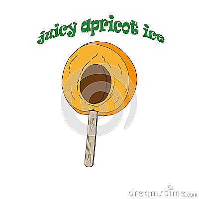 Juicy apricot ice cream Stock Photo