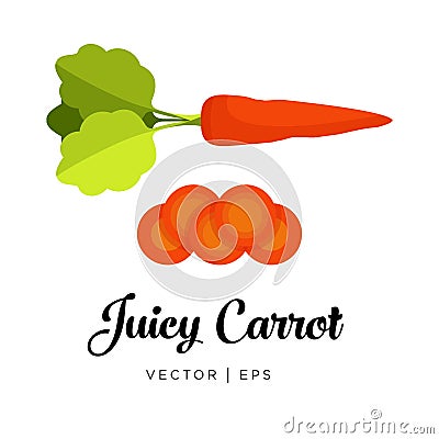 Juicy Carrot illustration Vector Illustration