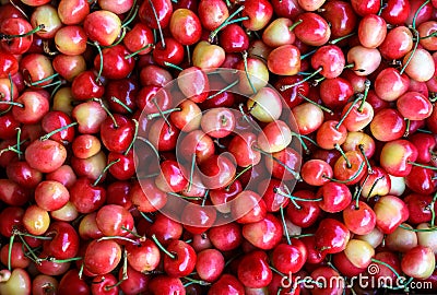 Juicy cherries fruit background, top view. Stock Photo