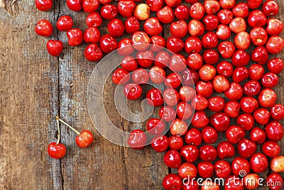 Juicy cherries Stock Photo