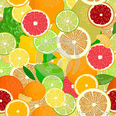 Juicy Citrus fruits set. Bright and vivid. Yellow, orange, red, green. Whole and slices Vector Illustration